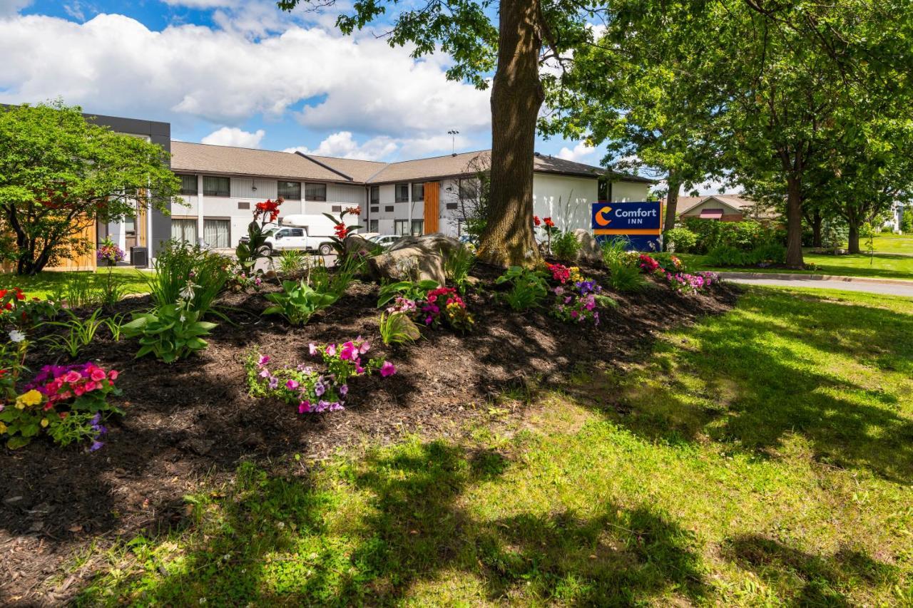 Comfort Inn West Ottawa Exteriér fotografie